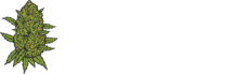 marihuanaabogados.com